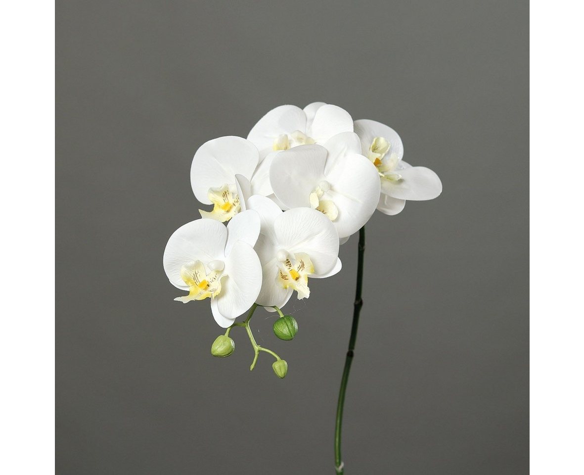 Kunstpflanze, DPI, Höhe 79 cm, Weiß H:79cm D:10cm Kunststoff von DPI