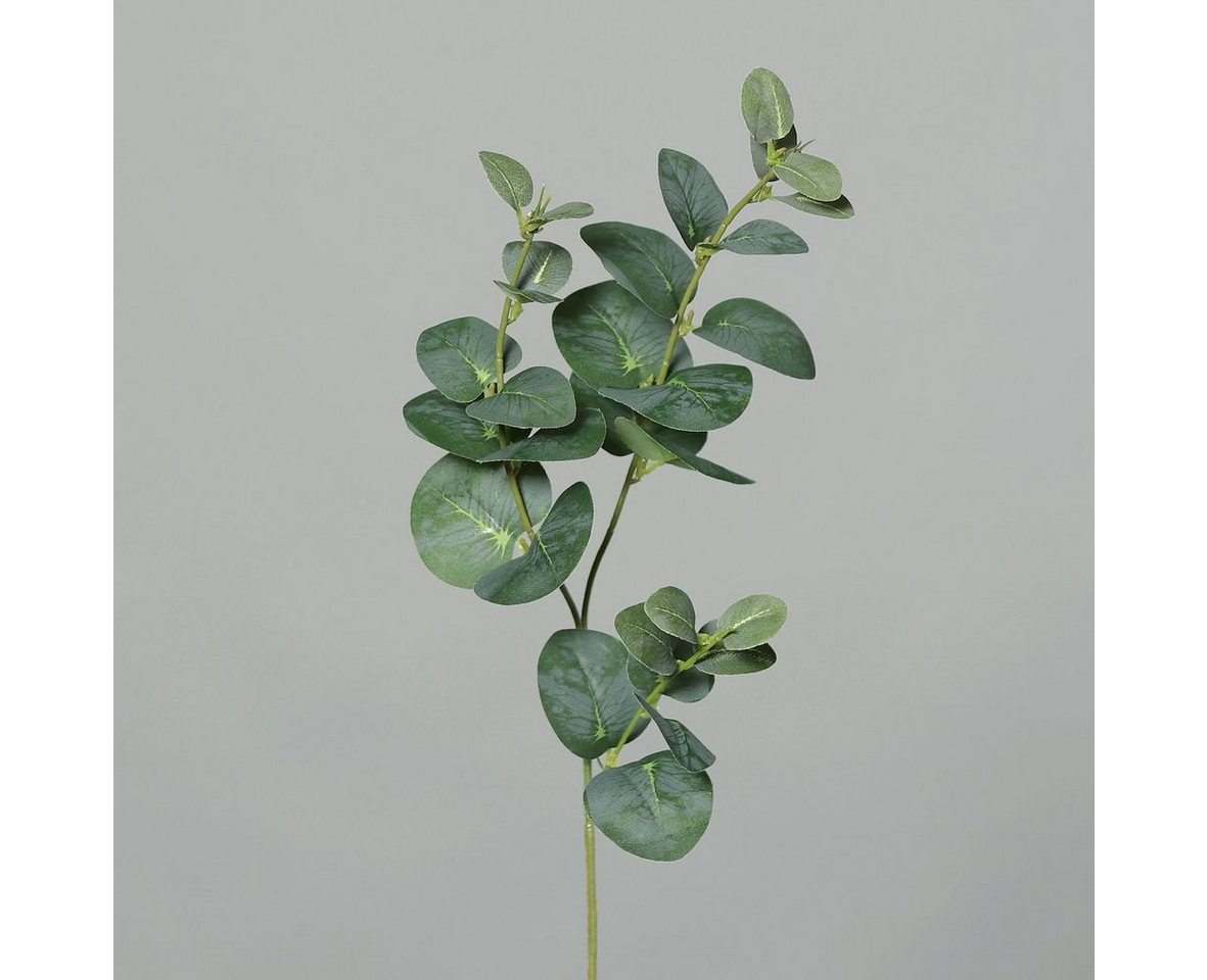 Kunstpflanze DPI Eukalyptuszweig x3 grün 64 cm, DPI von DPI