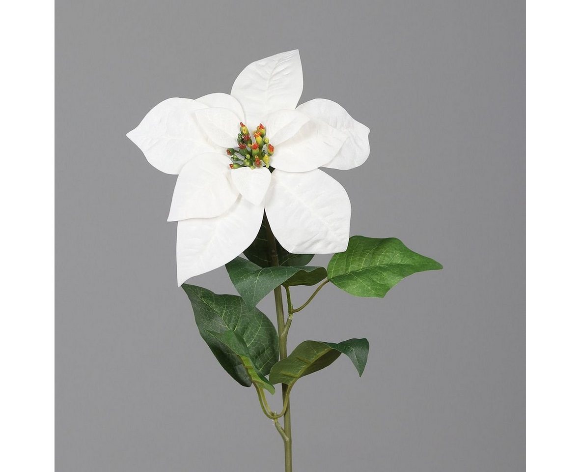 Kunstpflanze DPI Poinsettia creme 55 cm, DPI von DPI