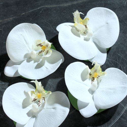 Orchideen-Blüte schwimmend creme 11 cm 4 Stk. in der Box Kunstblume von DPI von DPI