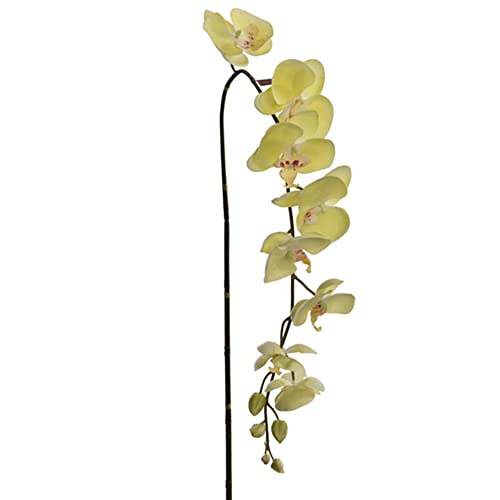 Dadeldo Home Kunstblume Stiel -Orchidee Large- 140cm grün Dekoration Kunstpflanze von Dadeldo Home