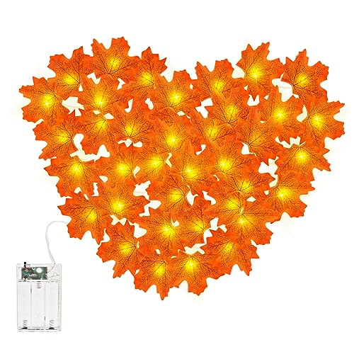 Dalugo Herbst Lichterkette Timer, 3M 20 LED Ahornblätter Lichterkette Batterie mit Timer für Herbst Deko Halloween Deko Erntedankfest Weihnachten von Dalugo