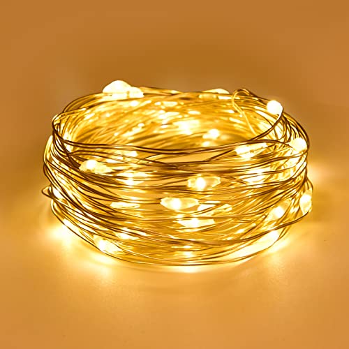 Dalugo Lichterkette Batterie, 2m 20 LED Warmweiß Innen Lichterketten mit Batterie für Weihnachten, Schlafzimmer, Party, Hochzeit von Dalugo