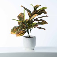 Regenbogen Croton Kunst Zimmerpflanze in Weiß Beton Überstöpfer von DarbyCreekTrading
