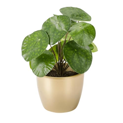 Künstliche Pilea im goldenen Topf 25 cm grün Kunstpflanze Künstliche Pfannkuchenpflanze Deko Pilea Pflanze von Deco Woerner