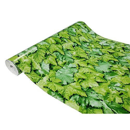 DecoMeister Klebefolie Möbelfolie Selbstklebend Folie für Möbel Deko-Folie Selbstklebefolie Dekoration Dekorfolie mit Motiv Muster Fertigrolle Weinreben Jungfernrebe 45 cm x 100 cm DecoMeister Klebefolie Möbelfolie Selbstklebend Folie für Möbel Deko-Folie Selbstklebefolie Dekoration Dekorfolie mit Motiv Muster Fertigrolle Weinreben Jungfernrebe 45 cm x 100 cm von DecoMeister