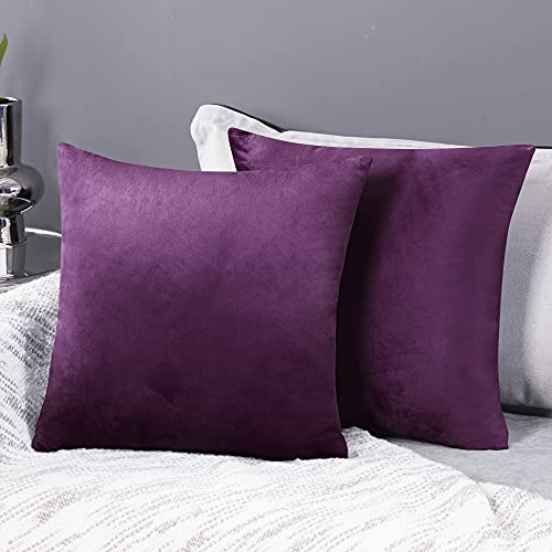 Deconovo 2er Set Samt Kissenbezüge Sofa Kissenbezug Zierkissenbezüge Weich Design Dekor Schlafzimmer Wohnzimmer Couch Büro, 60x60 cm, Dunkellila von Deconovo