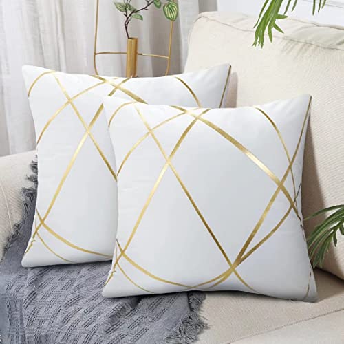 45x45Cm Samt Kissenbezug Weiß 2er Set Geometrie Dekokissen Kissenhülle Sofakissen Couchkissen Dekorative Kissen Kissenbezüge Moderne Zierkissen Bezug für Schlafzimmer Sofa Bett von DecorMommt