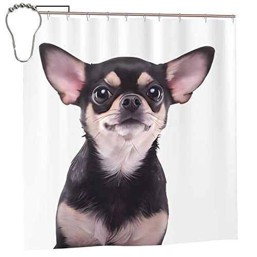 Niedlicher Chihuahua-Duschvorhang, 183 x 183 cm, wasserdicht, waschbar, Badezimmer-Duschvorhang mit 12 Haken, moderne Badezimmer-Dekoration von Dehiwi