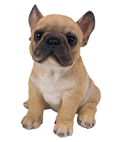 Dehner Dekofigur Französische Buldogge Welpe, ca. 18 x 16.5 x 13 cm, Polyresin, braun Dehner Dekofigur Französische Buldogge Welpe, ca. 18 x 16.5 x 13 cm, Polyresin, braun von Dehner