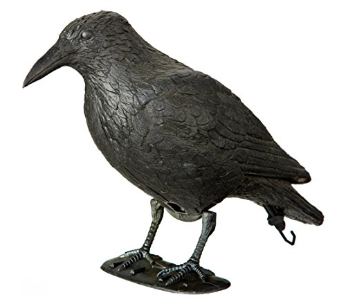 Dehner Dekofigur Rabe, ca. 38 x 22.5 x 13.5 cm, Kunststoff, Schwarz Dehner Dekofigur Rabe, ca. 38 x 22.5 x 13.5 cm, Kunststoff, Schwarz von Dehner