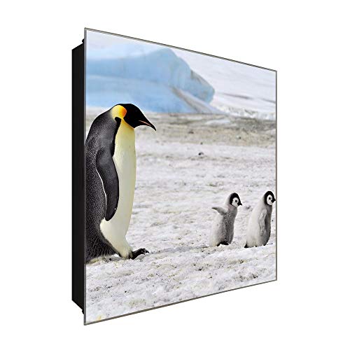 DekoGlas Schlüsselkasten 'Pinguin Kinder' 30x30 Glas, inkl. Haken Schlüsselbrett Schlüssel-Box Design Aufbewahrung von DekoGlas