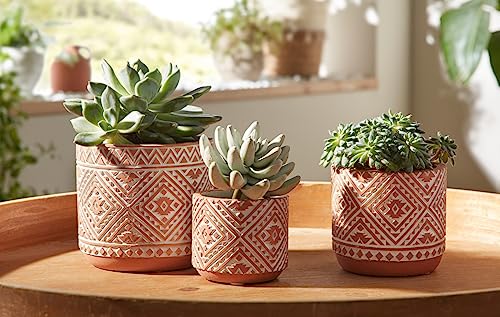 Dekoleidenschaft 3X Blumentopf Terra aus Zement in Terracotta Optik/weiß, Übertopf Set, Pflanztopf, Pflanzgefäß von Dekoleidenschaft