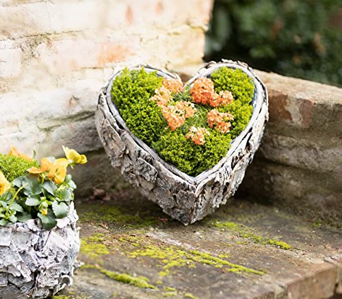 Dekoleidenschaft Pflanzer Herz aus Holz & Birkenrinde, Natur, Ø 32 x 14 cm, Pflanzschale rustikal, Pflanzgefäß, Pflanzherz, Garten-Deko für Draußen, Blumentopf von Dekoleidenschaft