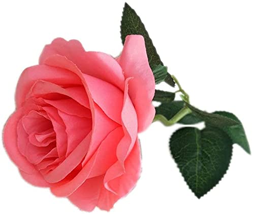Demarkt Künstliche Rose Blumen Seidenrosen Deko Gefälschte Blumen für Wohnaccessoires Deko Weiss (10x Orange) von Demarkt