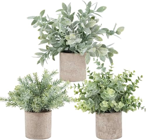 Der Rose 3 Stück Mini-Topfpflanzen, künstliche Eukalyptus-Pflanzen aus Kunststoff, für Zuhause, Büro, Schreibtisch, Bauernhaus, Raumdekoration von Der Rose