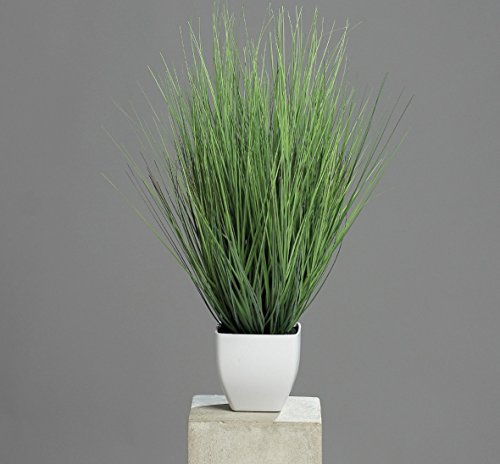 DPI Isolepsisgras - Kunstpflanze - im Topf - 60 cm von DPI