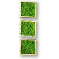 Moosly® Moos Zeichen - Kleine Quadrate Selbstklebend Made in Germany Moosbild Wandbild Deko Holz Wandtattoo Wanddeko von DesignmanufakturBer