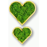 Moosly® Moosbild - Doppel Herz Nachhaltig Moos Kunst Wand Deko Islandmoos Bild Herzform Pflanzen Basteln Wohnzimmer von DesignmanufakturBer