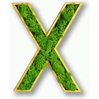 Moosly® Moosbild - X Buchstabe Aus Konserviertes Islandmoos Mit Rahmen Kunst Wohnzimmer Deko Wand Pflanzen WandTattoo von DesignmanufakturBer