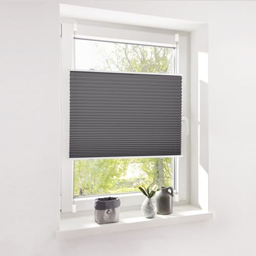Deswell Plissee ohne Bohren Klemmfix Anthrazit B40 x H100 cm Plisseerollo Sonnenschutz und Sichtschutz Jalousien Easyfix Plissees Lichtdurchlässig Rollo für Fenster & Tür Deswell Plissee ohne Bohren Klemmfix Anthrazit B40 x H100 cm Plisseerollo Sonnenschutz und Sichtschutz Jalousien Easyfix Plissees Lichtdurchlässig Rollo für Fenster & Tür von Deswell