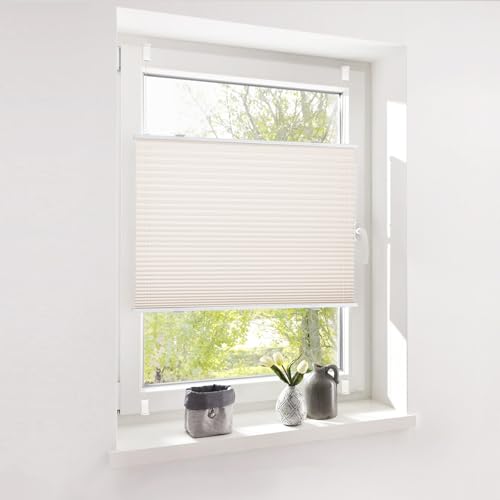 Deswell Plissee ohne Bohren Klemmfix Creme B100 x H120 cm Plisseerollo Blickdicht Sichtschutz Sonnenschutz Jalousien Easyfix Plissees Lichtdurchlässig Rollo für Fenster & Tür Deswell Plissee ohne Bohren Klemmfix Creme B100 x H120 cm Plisseerollo Blickdicht Sichtschutz Sonnenschutz Jalousien Easyfix Plissees Lichtdurchlässig Rollo für Fenster & Tür von Deswell