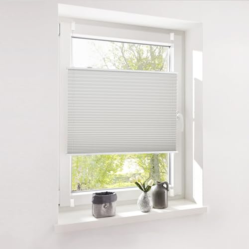 Deswell Plissee ohne Bohren Klemmfix Grau B100 x H120 cm Plisseerollo Sonnenschutz und Sichtschutz Jalousien Easyfix Plissees Lichtdurchlässig Rollo für Fenster & Tür Deswell Plissee ohne Bohren Klemmfix Grau B100 x H120 cm Plisseerollo Sonnenschutz und Sichtschutz Jalousien Easyfix Plissees Lichtdurchlässig Rollo für Fenster & Tür von Deswell