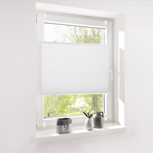 Deswell Plissee ohne Bohren Klemmfix Weiß B55 x H100 cm Plisseerollo Blickdicht Sichtschutz Sonnenschutz Jalousien Easyfix Plissees Lichtdurchlässig Rollo für Fenster & Tür Deswell Plissee ohne Bohren Klemmfix Weiß B55 x H100 cm Plisseerollo Blickdicht Sichtschutz Sonnenschutz Jalousien Easyfix Plissees Lichtdurchlässig Rollo für Fenster & Tür von Deswell
