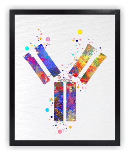 Dignovel Studios 20,3 x 25,4 cm, ungerahmt, Antikörper-Symbol, medizinische Wissenschaft, Kunst, Immunologie, Illustration, Aquarell-Kunstdruck, Poster, Wandbehang, Dekor DN844 von Dignovel Studios