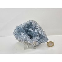 30 Großer Celestit Kristall Natur Cluster von DistinctionCrystals