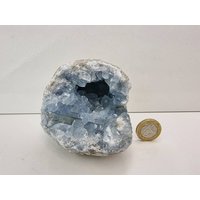 64 Großer Celestit Kristall Natur Cluster von DistinctionCrystals