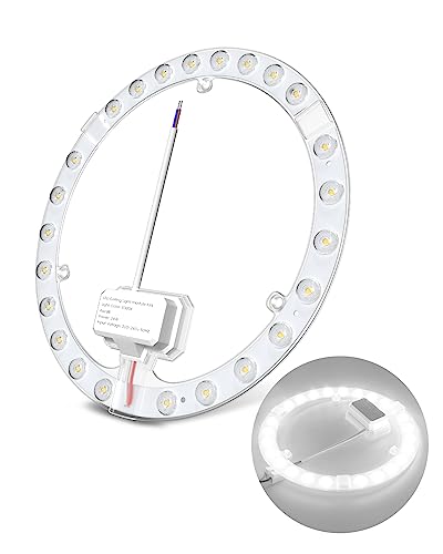 DoRight 24W LED Modul Umrüstsatz mit Magnethalter, Retrofit LED Ringmodul Ø19.4cm Ringlampe Umrüstset für Deckenleuchten und Wandleuchten Ersatz der Kreisleuchtstofflampe 6000K Kalt Weiß von DoRight