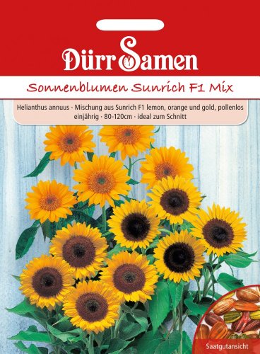 Dürr Samen 1028 Sonnenblume Sunrich F1 Mix (Sonnenblumensamen) von Dürr-Samen