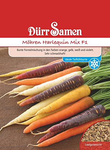 Bunte Möhren Samen Karotten Harlequin Mix F1 Gemüsesamen ca 500 Korn Garten Hochbeet Saatgut Gemüse Möhrensamen Karottensamen Möhre Dürr Samen von Dürr-Samen