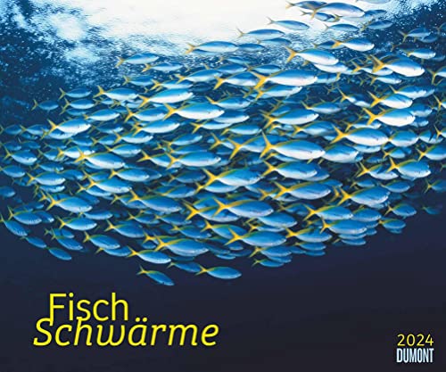 Kal. 2024 Fischschwärme: Fish swarms von Dumont Kalenderverlag