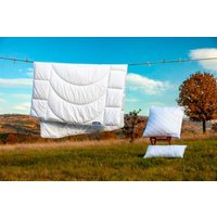 Dunlopillo Microfaserbettdecke "Home Bettdecken Sommer und Winter", leicht, Füllung Polyester, Bezug Polyester, (1 St.), Bettdecke 135x200, 155x220cm, feuchtigkeitsregulierend von Dunlopillo