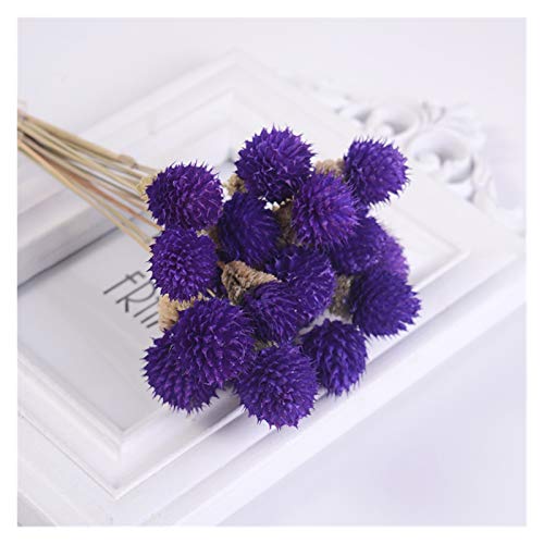 Pampasgras,Pampasgras Deko,Trockenblumen 15 stücke 55 cm natürliche getrocknete Blumen schmücken frische Multicolor Ball echte Blume für Tisch Hochzeit Dekoration Fotografie Requisiten(Color:Purple) von ELTOX