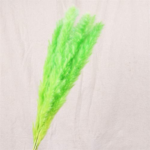 Pampasgras,Pampasgras Deko,Trockenblumen 7 Scheiben Reed GRASE Reed Natürliches trockenes Retter Gras Künstliche Pflanze Hochzeit Blumenstrauß Dekoration Gefälschte Blume(Color:Green) von ELTOX