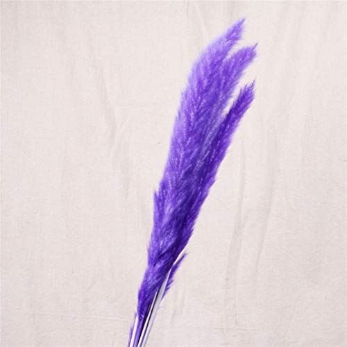 Pampasgras,Pampasgras Deko,Trockenblumen 7 Scheiben Reed GRASE Reed Natürliches trockenes Retter Gras Künstliche Pflanze Hochzeit Blumenstrauß Dekoration Gefälschte Blume(Color:Purple) von ELTOX