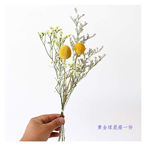 Pampasgras,Pampasgras Deko,Trockenblumen Getrocknete Blumen Blumenarrangement mit Hand Feuerwerke Foto Requisiten DIY Liebhaber Gras Kristall Gras Handgemachte Blumen(Color:Yellow) von ELTOX