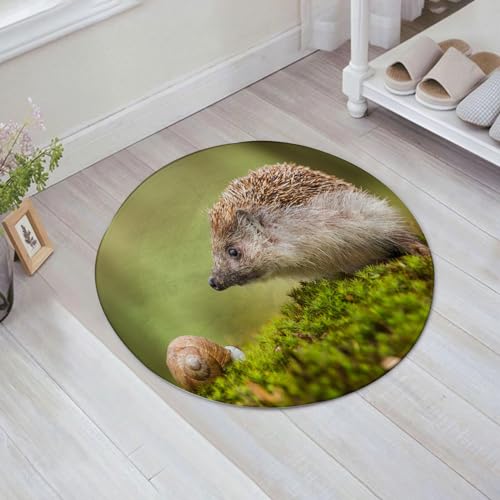 EMFSLA rutschfest Badezimmer Badeteppiche,Weich Hochflor Saugfähig Badvorleger Waschbar Flauschige Mikrofaser Badematte,Igel mit Schnecke,60x60 cm von EMFSLA