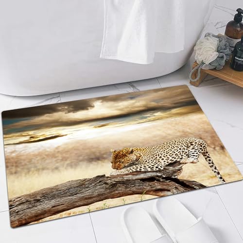 EMFSLA rutschfest Badezimmer Badeteppiche,Weich Hochflor Saugfähig Badvorleger Waschbar Flauschige Mikrofaser Badematte,Spiel Safari, Leopard ruht unter einem dramatischen bewölkten Himmel i,40x60 cm von EMFSLA