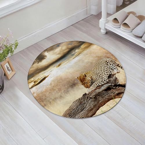 EMFSLA rutschfest Badezimmer Badeteppiche,Weich Hochflor Saugfähig Badvorleger Waschbar Flauschige Mikrofaser Badematte,Spiel Safari, Leopard ruht unter einem dramatischen bewölkten Himmel i,60x60 cm von EMFSLA