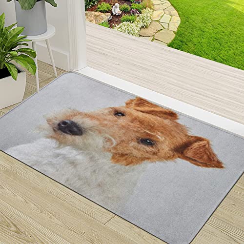 ERICAT Fußmatte Schmutz Wasserabsorbierend Fußabtreter,Foxterrier-Portrait ist,InnenbereichTürmatte rutschfest Waschbar Eingangsmatte Innen von ERICAT