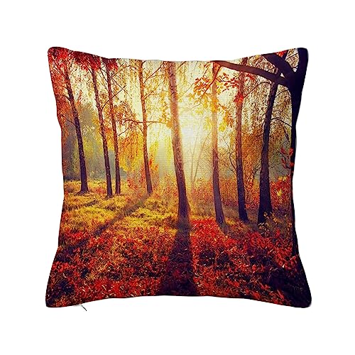 ERICAT Überwurf Kissen Fall Quadratisch Kissenbezug,Herbst Herbst Herbstlicher Park Bäume und Blätter im Herbst in Sonnenstrahlen,Home Dekorative Sofa Sessel Schlafzimmer Wohnzimmer 45x 45cm von ERICAT