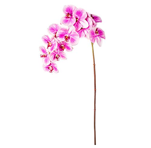 EUROCINSA Ref.43114C61 Orchidee PHALAENOPSIS, Box mit 6 Stück, Lavendel, 112 cm von EUROCINSA