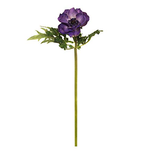 EUROCINSA Ref.57371C63 Anemone Violett, Schachtel mit 12 Stück, Lavendel, 39 cm von EUROCINSA