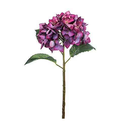 EUROCINSA Ref.71802C63 Hortensia naturrein, Box mit 12 Stück, Lavendel, 50 cm von EUROCINSA