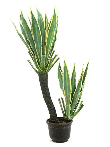 EUROPALMS 82809035 Orchideen-Kaktus, Kunstpflanze, 160 cm von EUROPALMS