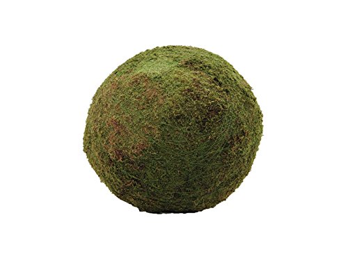 Europalms 83502353 Europalms Moosball, Grün, 50 cm von EUROPALMS